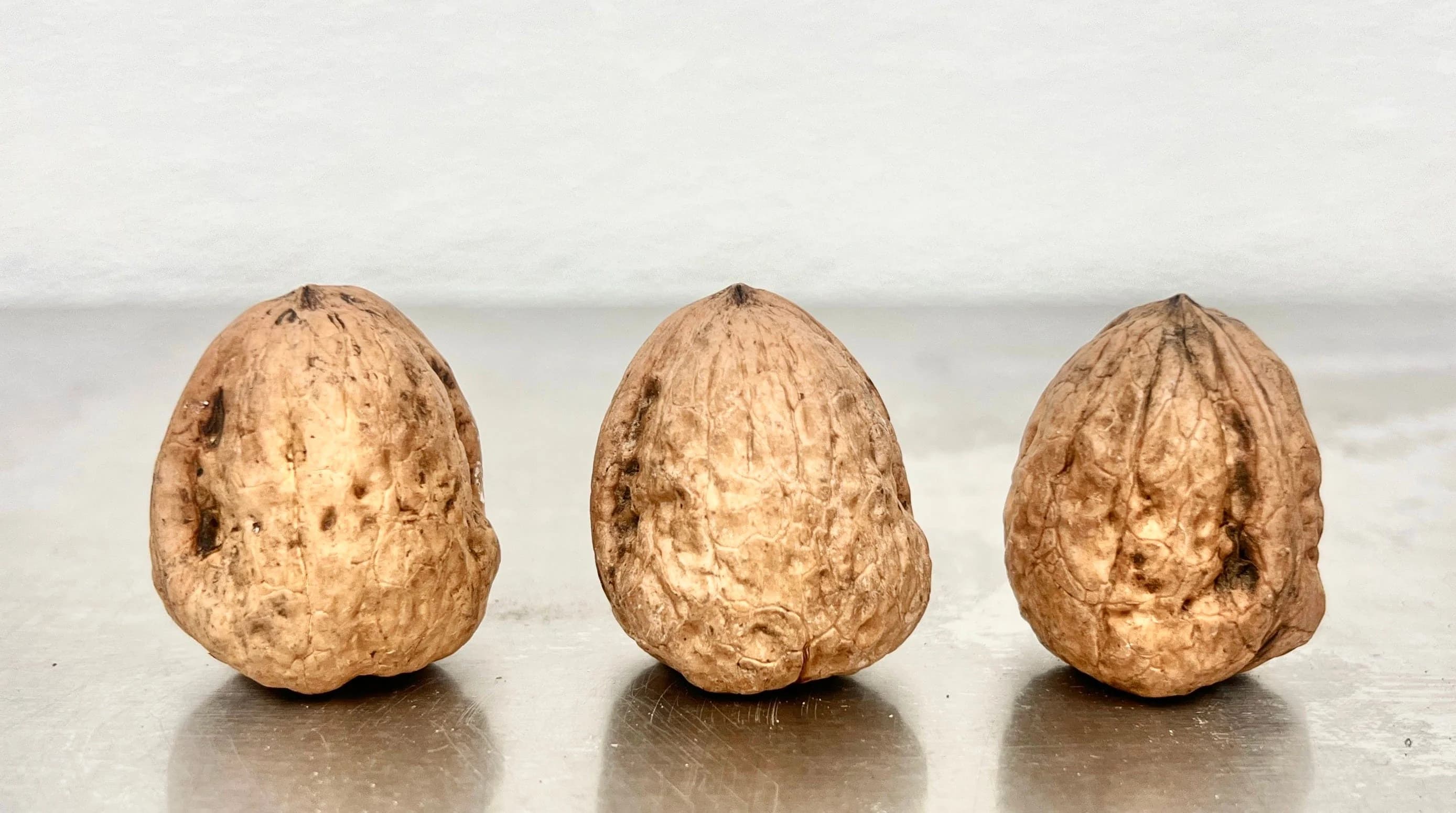 Walnuts Without Shell 2 Piece Extra Light Half Colour — photo 3